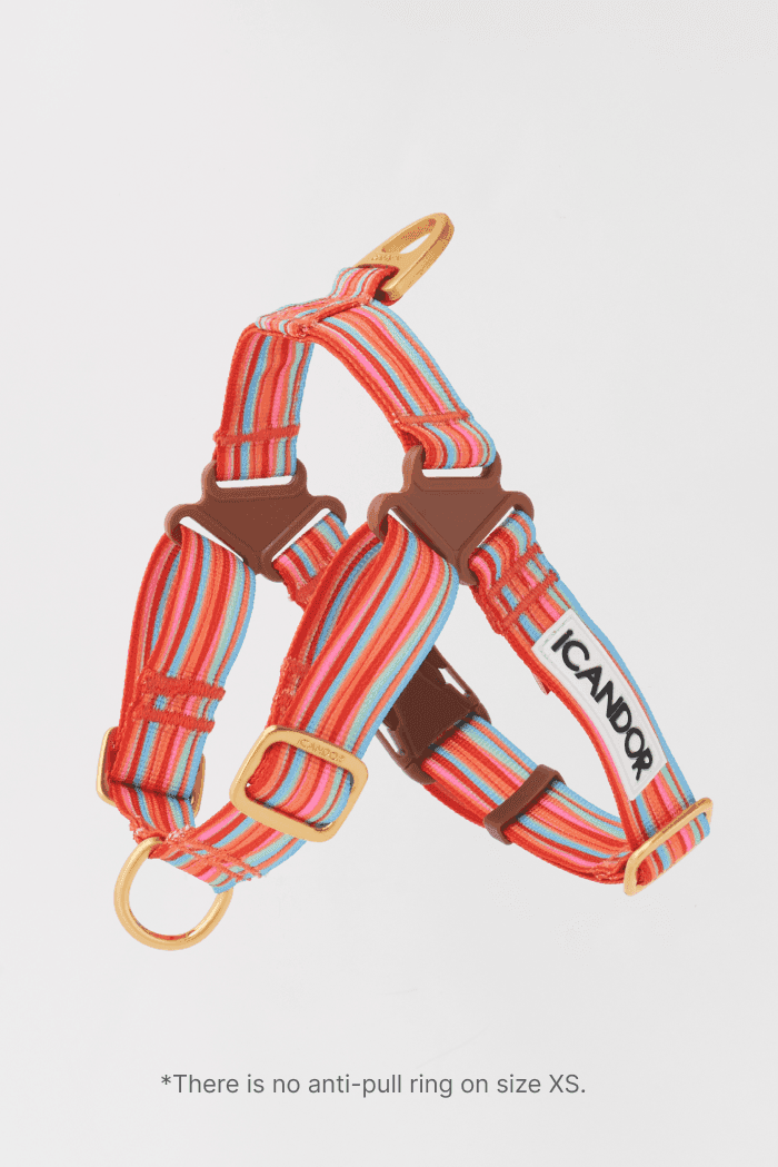 No-Pull Dog Harness