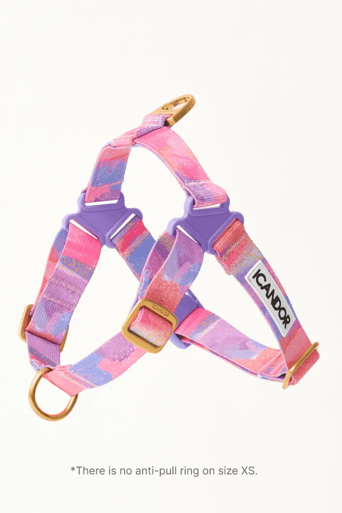 No-Pull Dog Harness - Big Fish