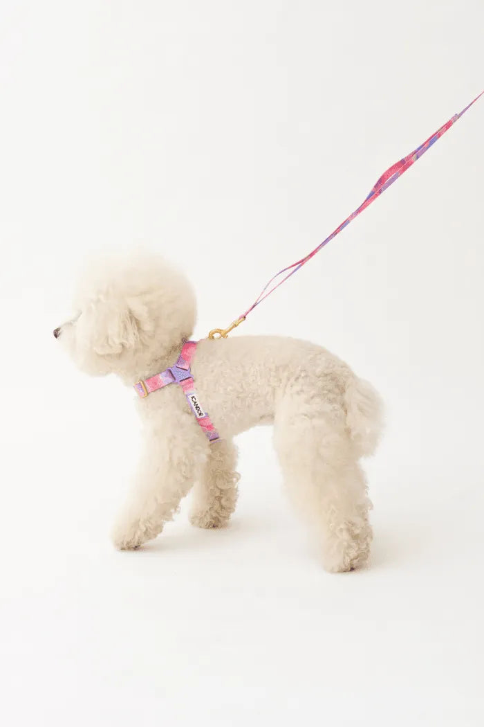 No-Pull Dog Harness - Big Fish