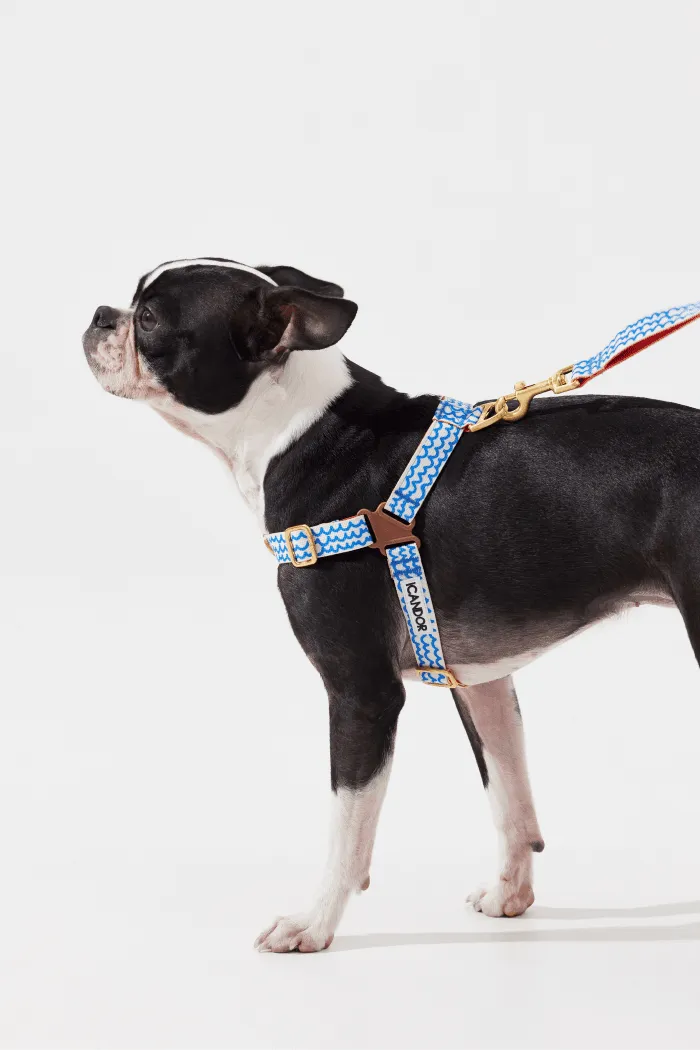 No-Pull Dog Harness - Big Fish