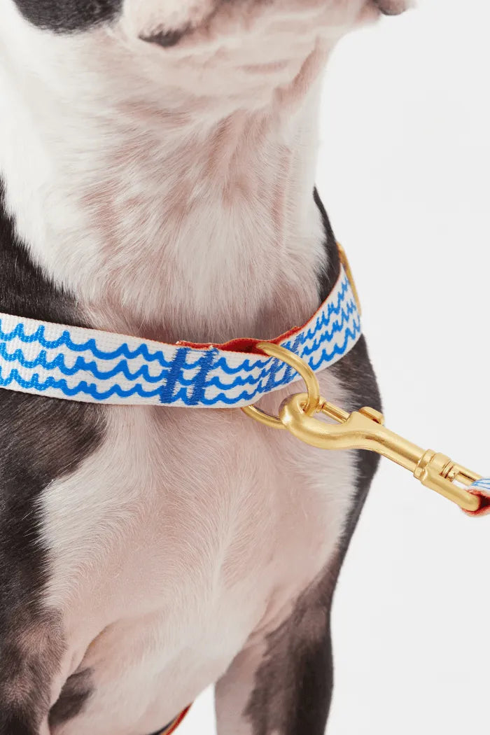 No-Pull Dog Harness - Big Fish