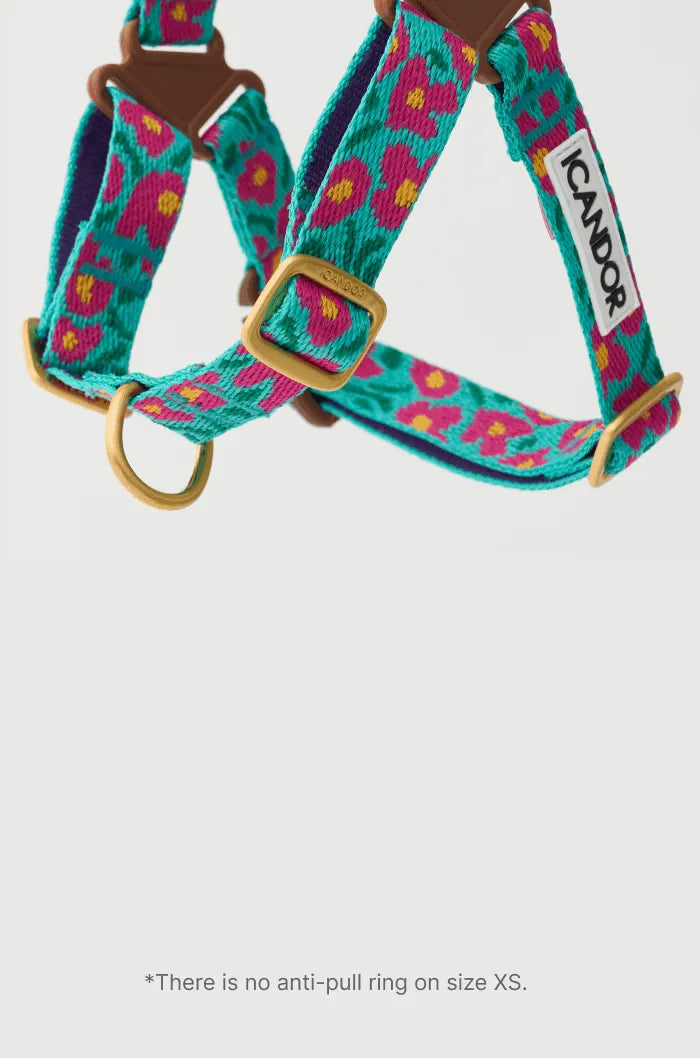 No-Pull Dog Harness - Big Fish