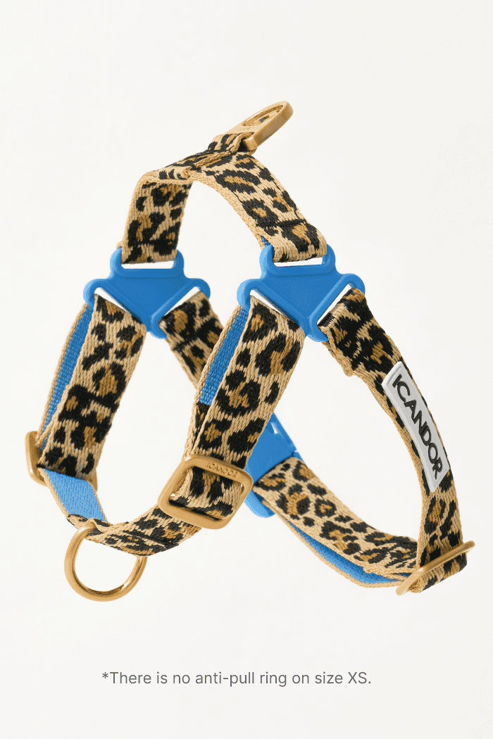 No-Pull Dog Harness - Leopard