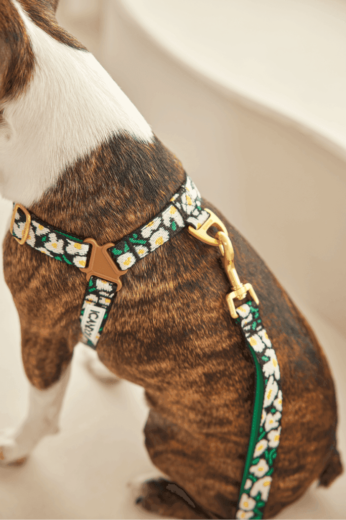 No-Pull Dog Harness - Leopard