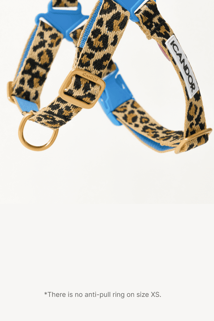 No-Pull Dog Harness - Leopard