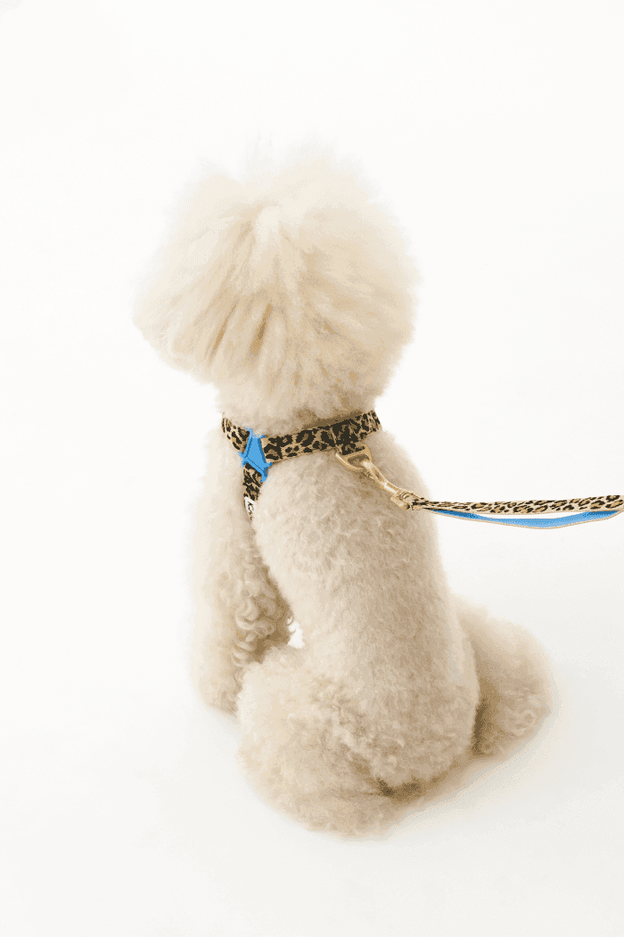 No-Pull Dog Harness - Leopard