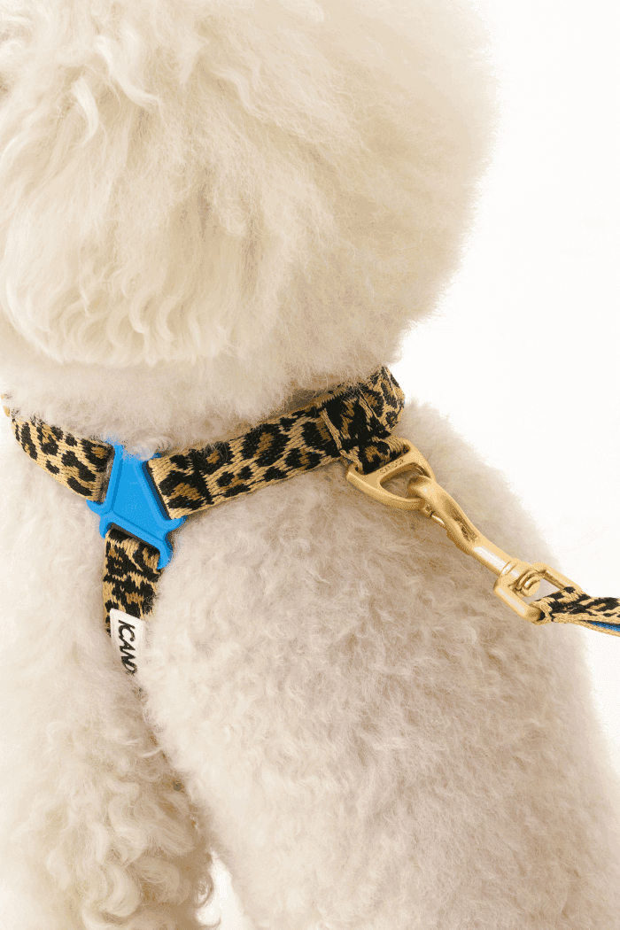 No-Pull Dog Harness - Leopard