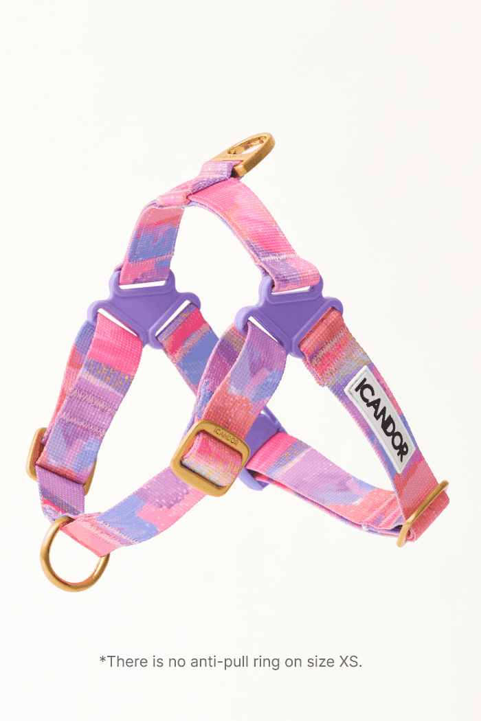 No-Pull Dog Harness - Leopard