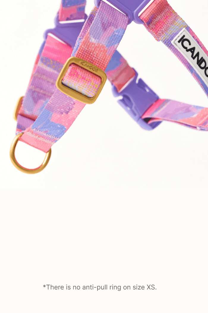 No-Pull Dog Harness - Leopard