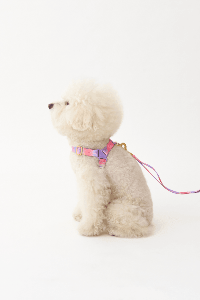 No-Pull Dog Harness - Leopard