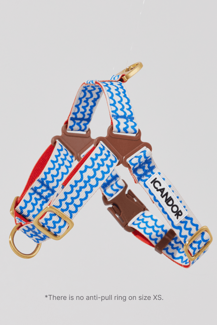 No-Pull Dog Harness - Leopard