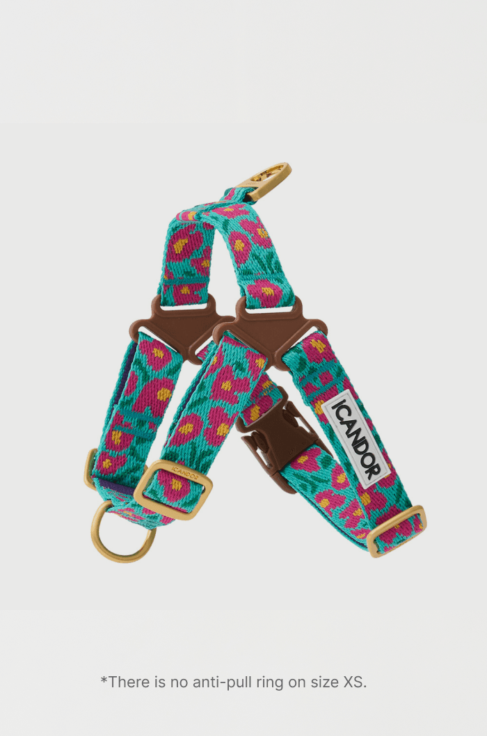 No-Pull Dog Harness - Leopard