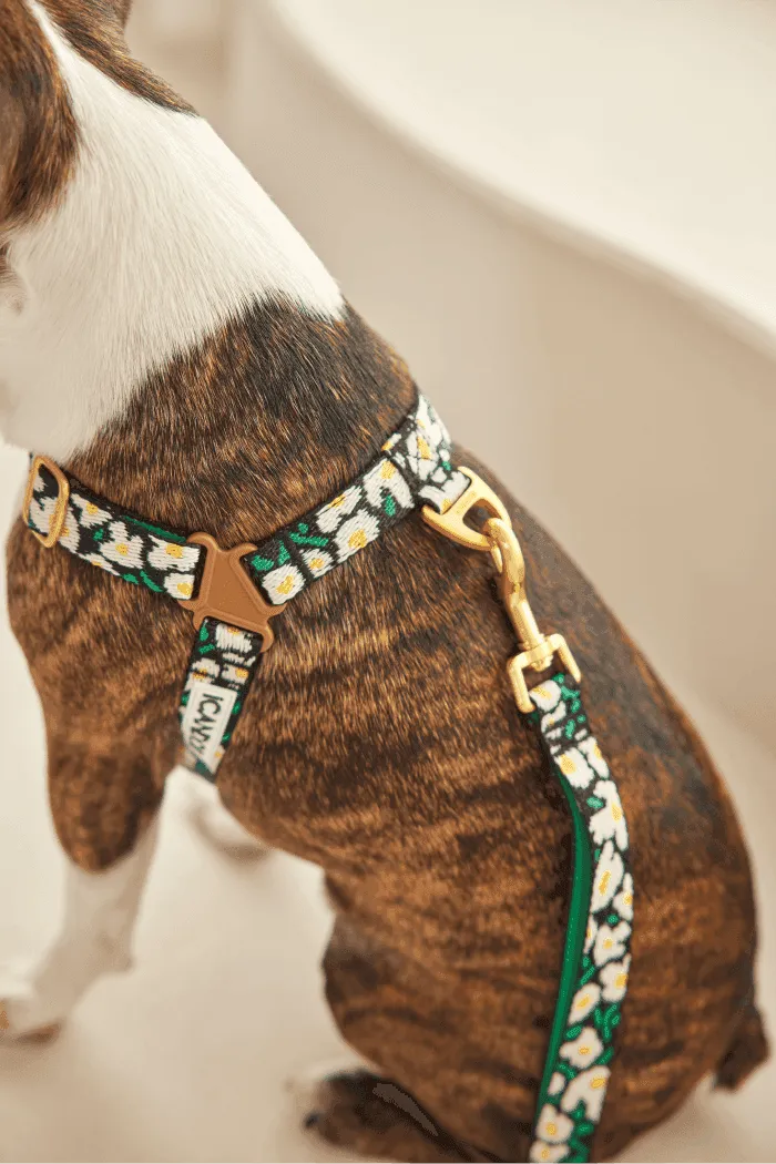 No-Pull Dog Harness - Milky Way