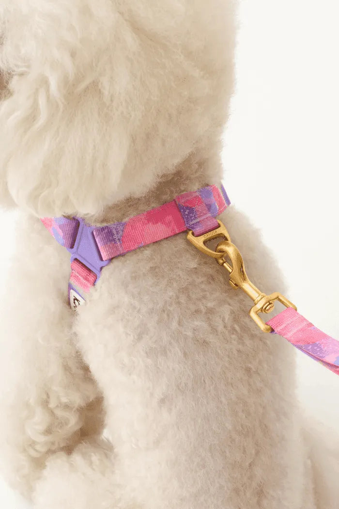 No-Pull Dog Harness - Milky Way