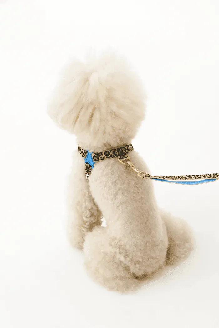 No-Pull Dog Harness - Milky Way