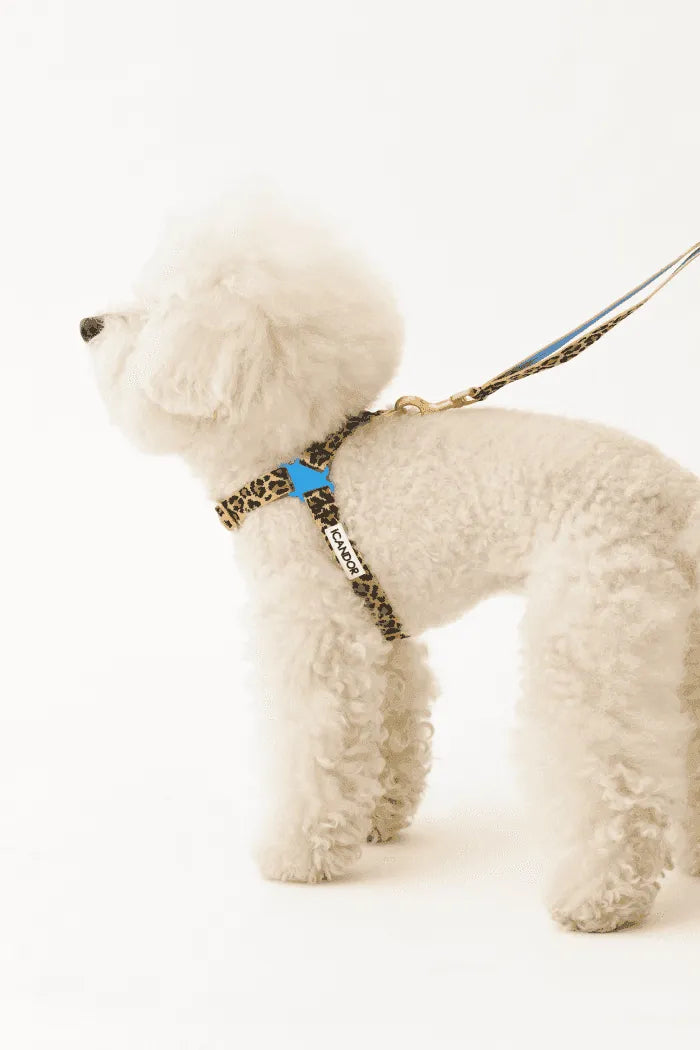 No-Pull Dog Harness - Milky Way