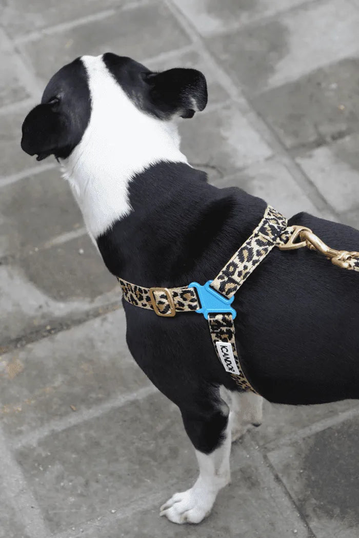 No-Pull Dog Harness - Milky Way