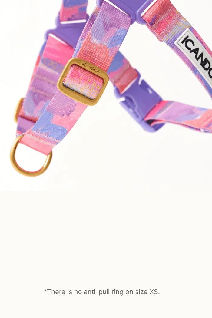 No-Pull Dog Harness - Milky Way