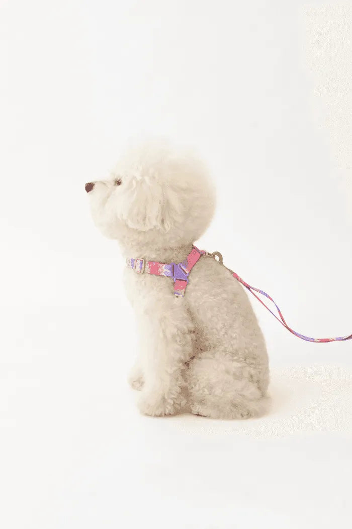 No-Pull Dog Harness - Milky Way