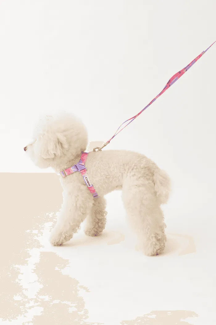 No-Pull Dog Harness - Milky Way