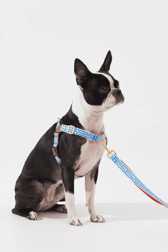 No-Pull Dog Harness - Milky Way