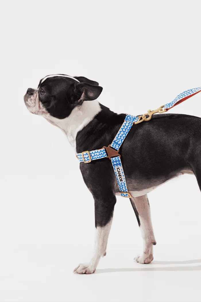 No-Pull Dog Harness - Milky Way