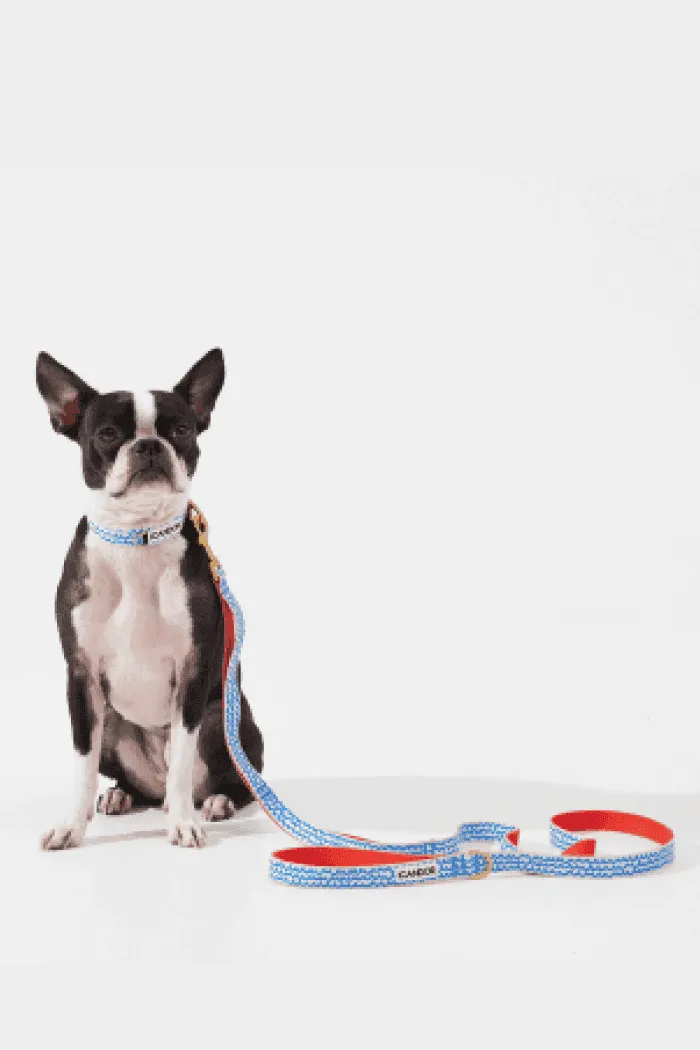 No-Pull Dog Harness - Milky Way