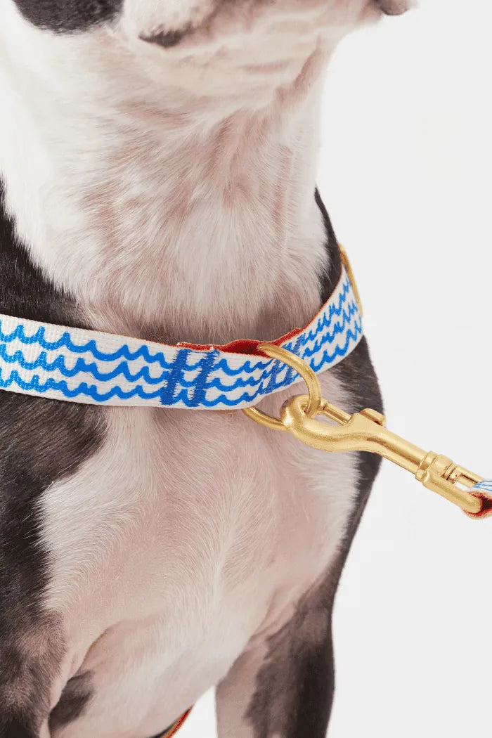 No-Pull Dog Harness - Milky Way