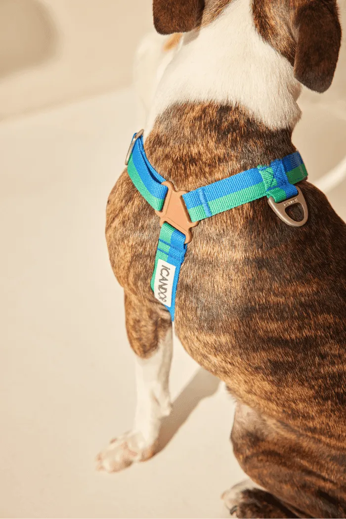 No-Pull Dog Harness - Milky Way