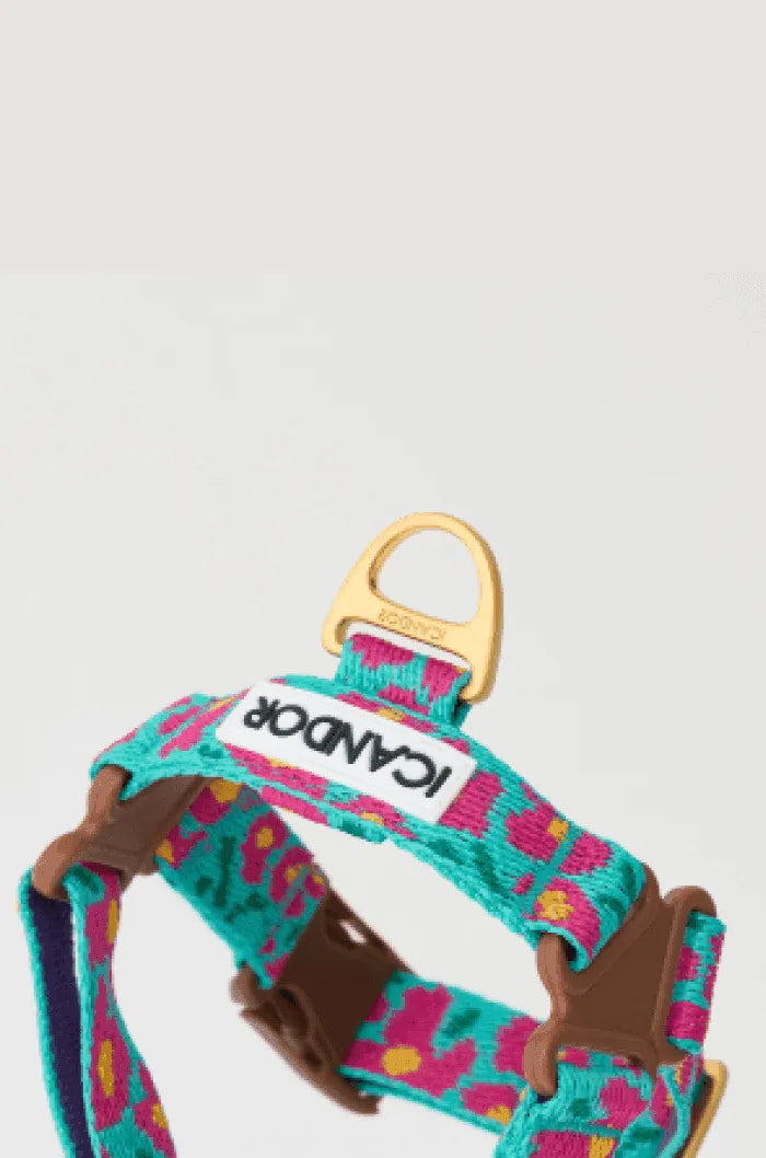 No-Pull Dog Harness - Milky Way