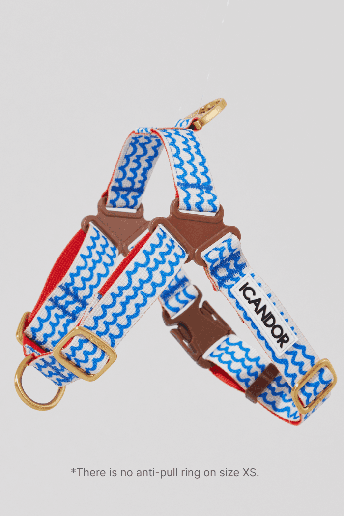 No-Pull Dog Harness - Surfrider