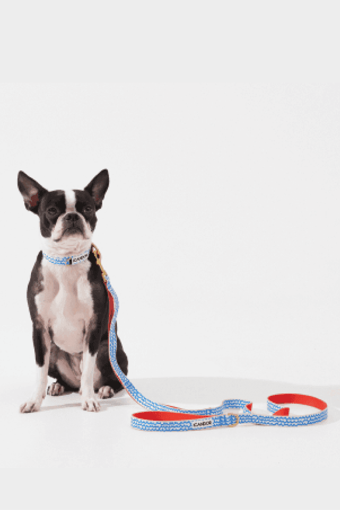 No-Pull Dog Harness - Surfrider