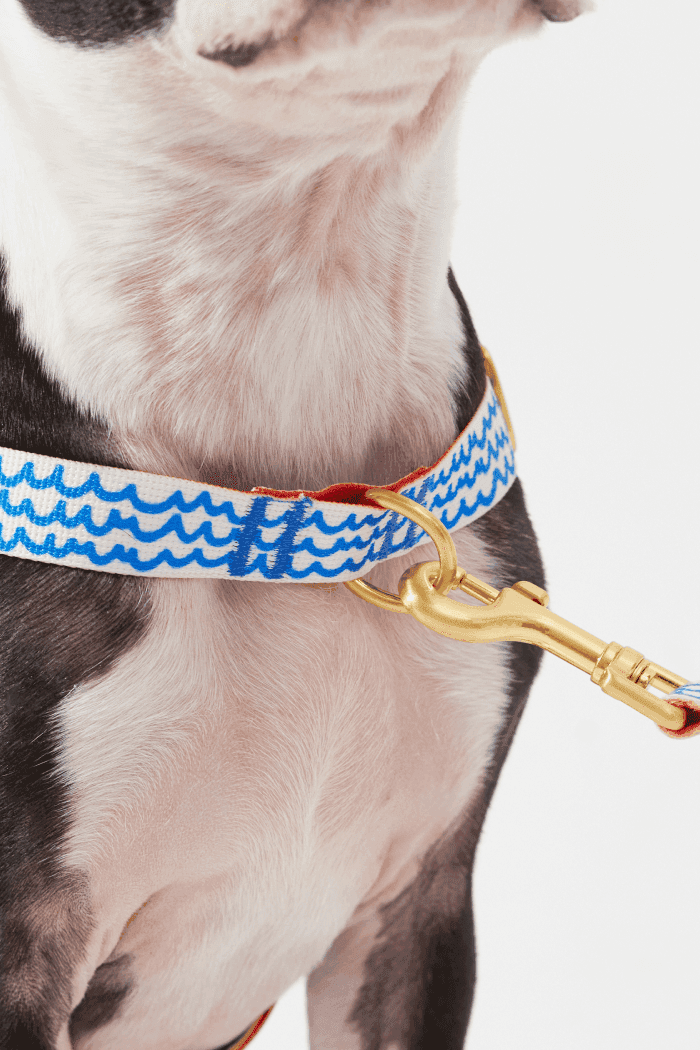 No-Pull Dog Harness - Surfrider