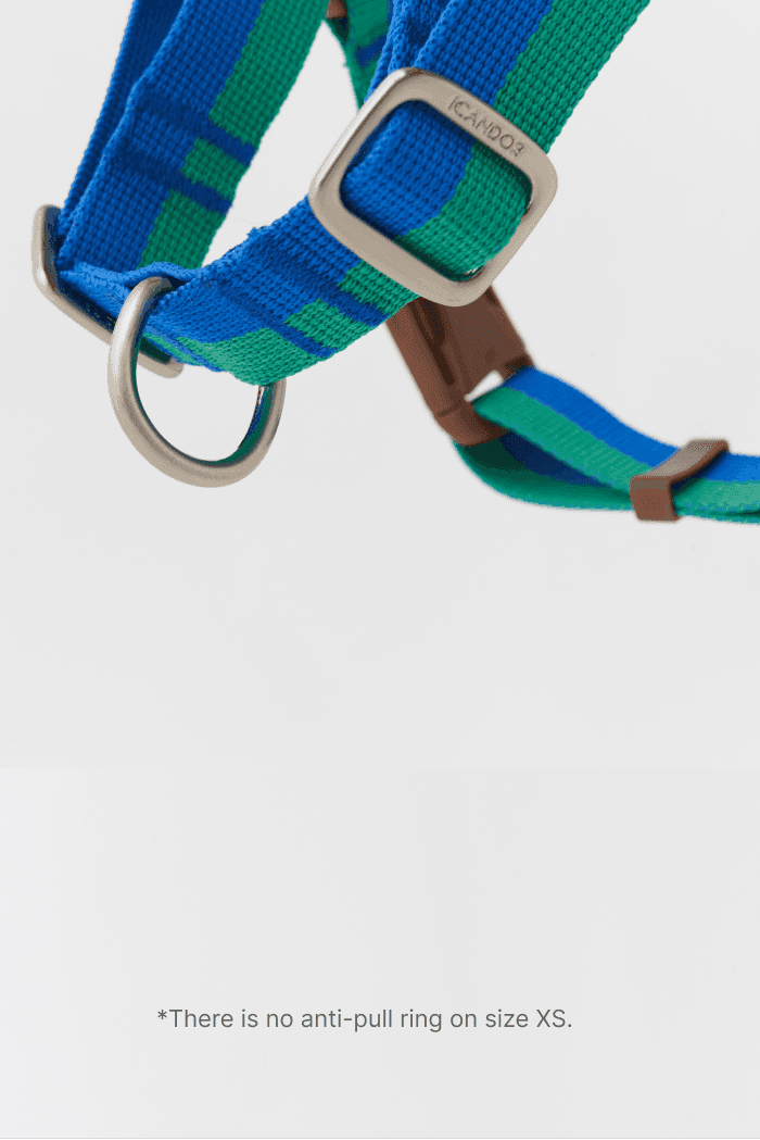 No-Pull Dog Harness - Surfrider