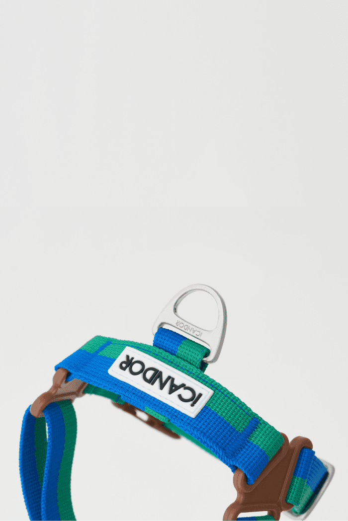 No-Pull Dog Harness - Surfrider