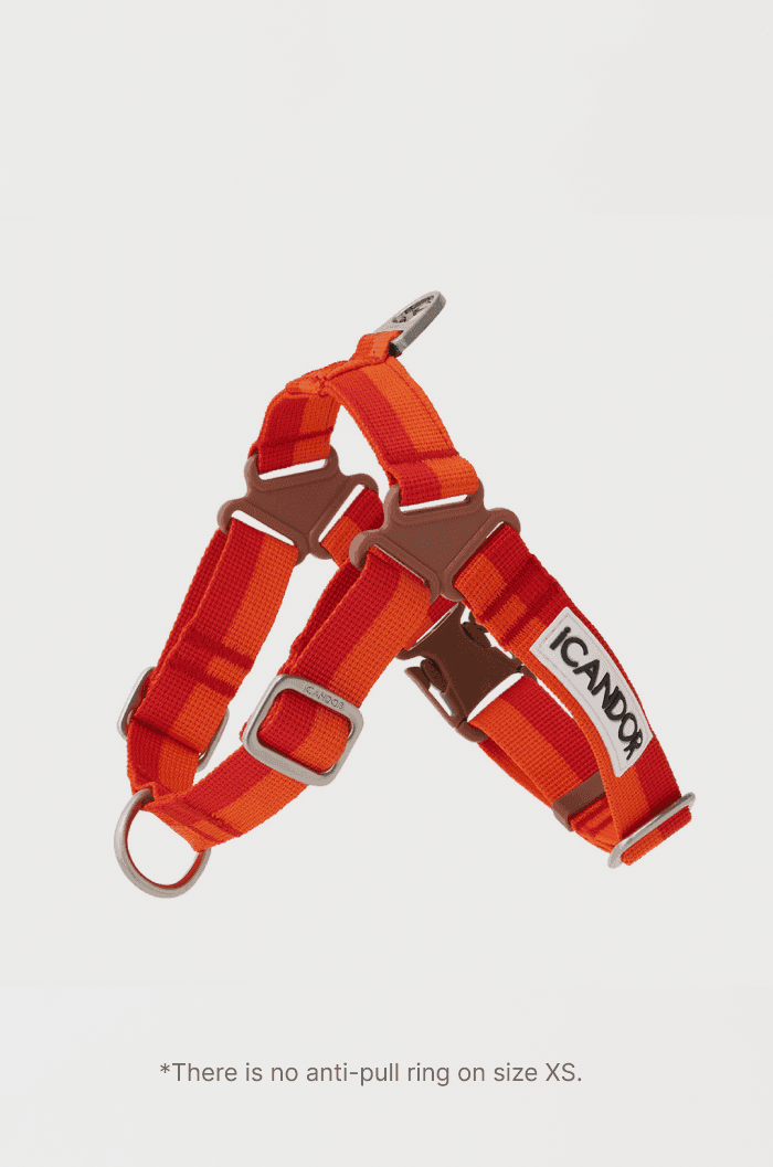 No-Pull Dog Harness - Surfrider