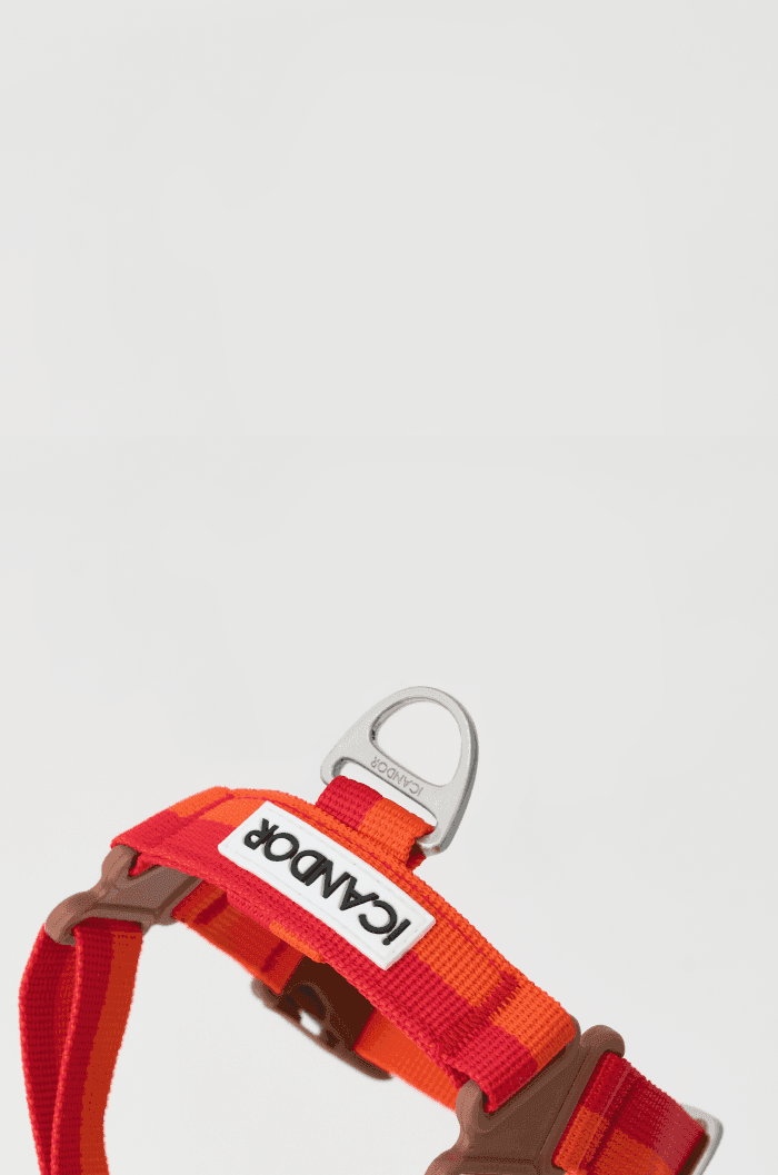 No-Pull Dog Harness - Surfrider