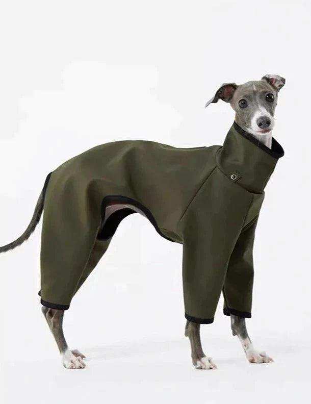 Outdoor 4-Leg Raincoat - 2&4 PETS