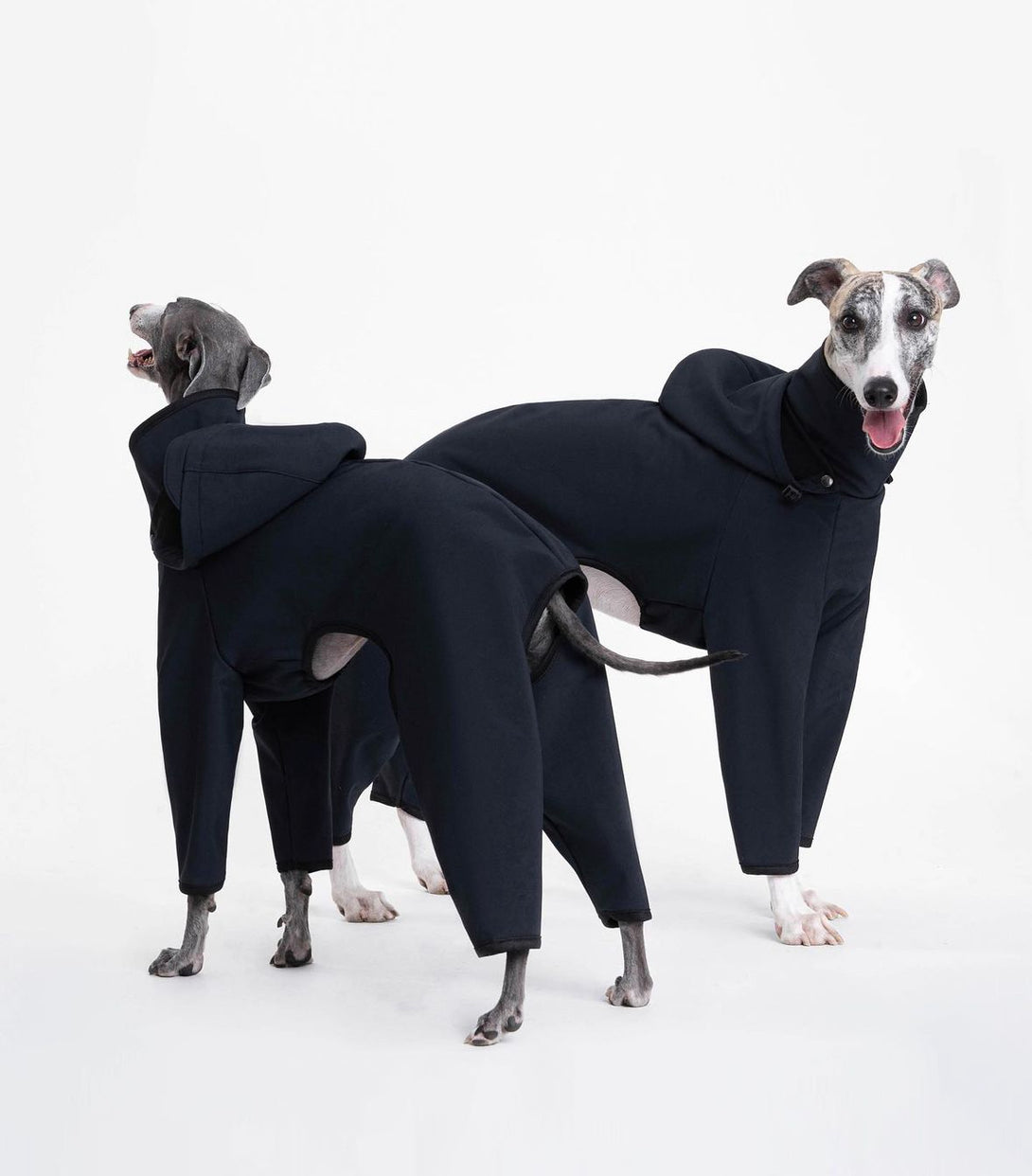 Outdoor 4-Leg Raincoat - 2&4 PETS