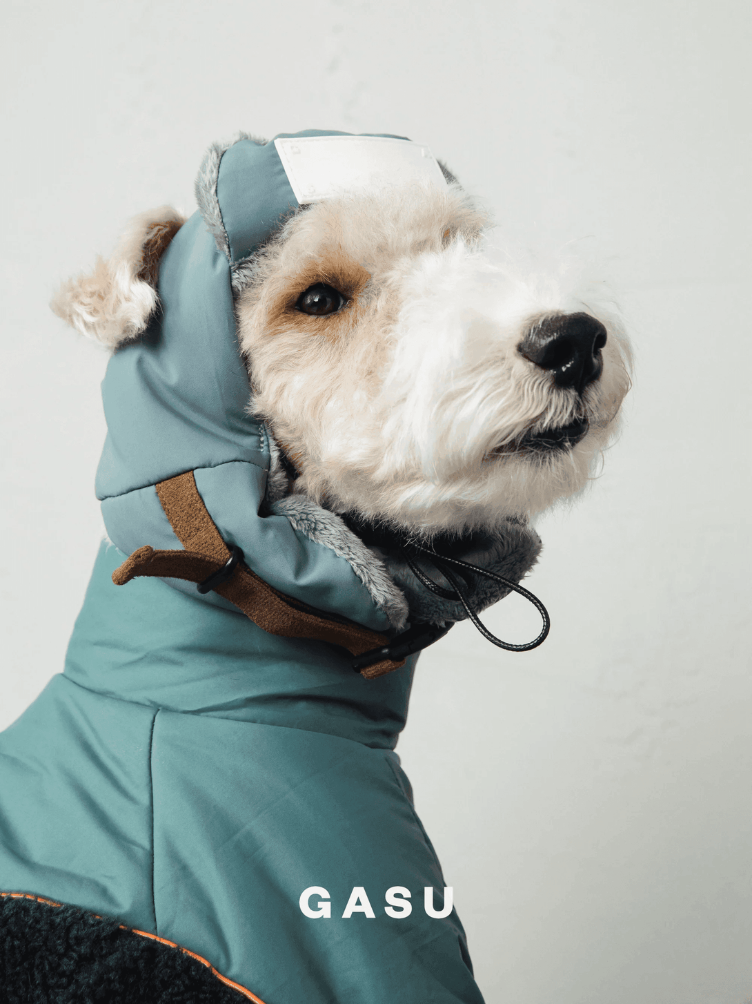 Padded Fleece Lined Aviator Dog Hat - 2&4 PETS