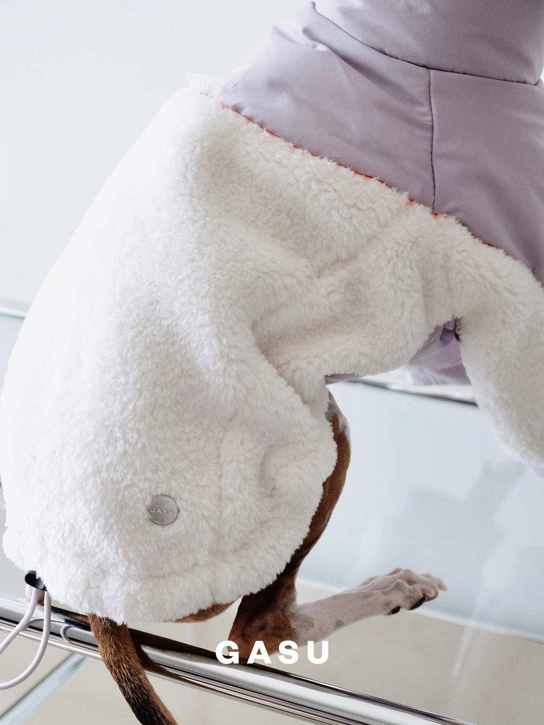 Padded Fleece Lined Dog Jacket