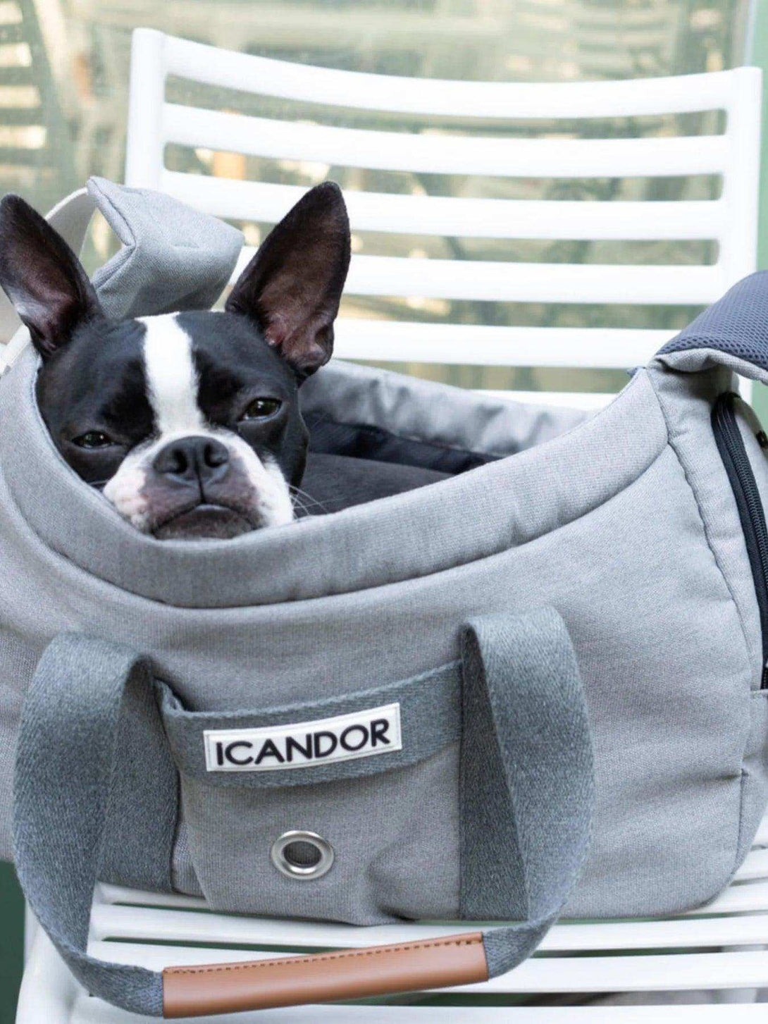 iCandor - iBag Pet Carrier - Sassy Cream (2 Sizes)