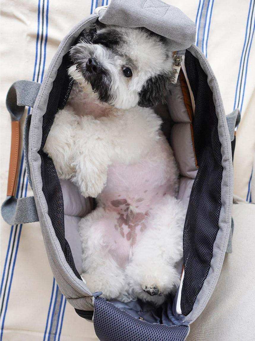 https://twoandfourpets.com/cdn/shop/files/peek-a-boo-or-cross-body-pet-carrier-bag-grey-9.jpg?v=1697388313