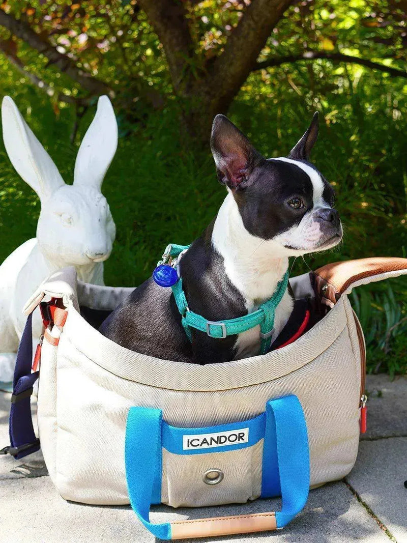 Boston Terrier in ICANDOR pet carrier with teal harness, outdoor garden setting