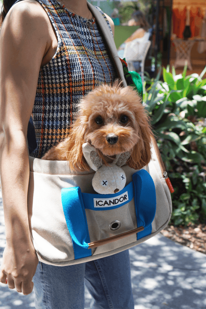 Peek a boo Cross body Pet Carrier Beige