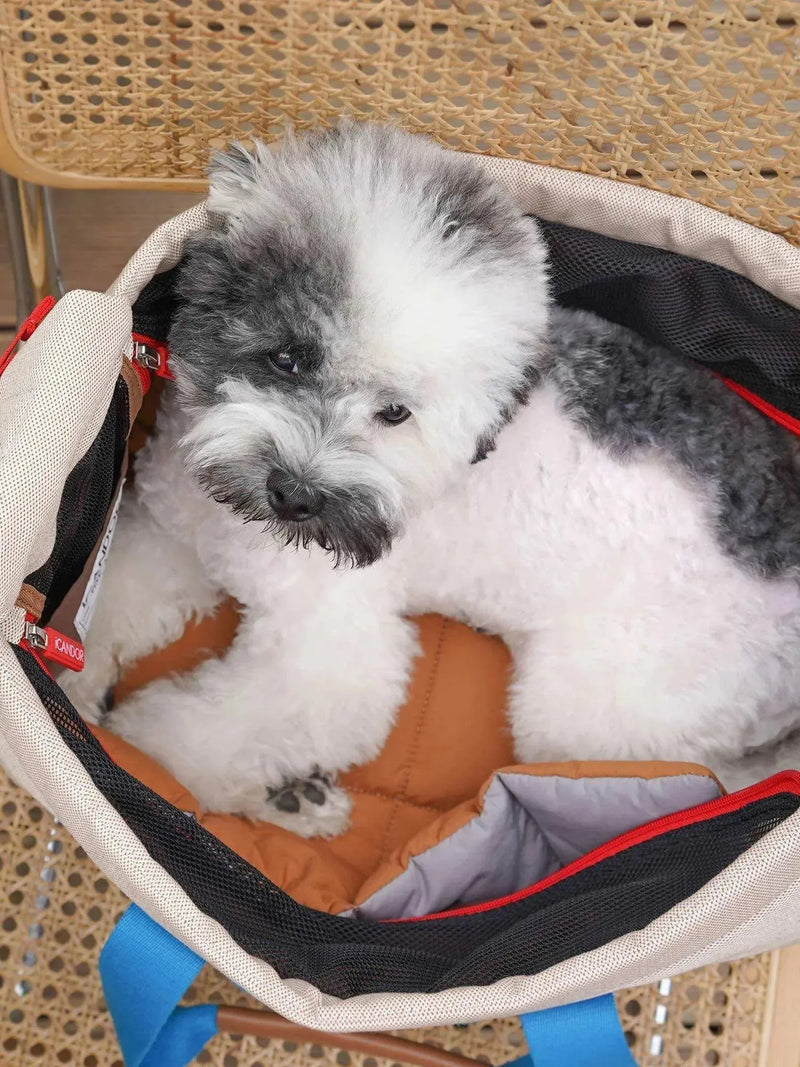 Fluffy gray and white dog cozy in a pet carrier bag, perfect for travel and comfort.