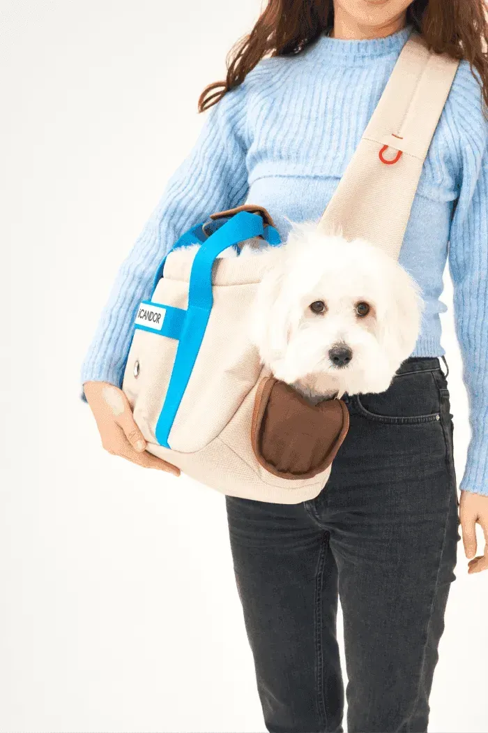 Pet sales body carrier