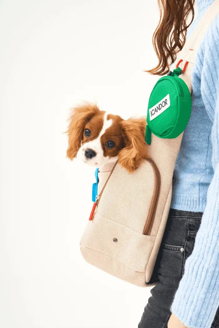 ICANDOR PEEK-A-BOO BAG ベージュ ICANDOR PEEK-A-BOO BAG ベージュ