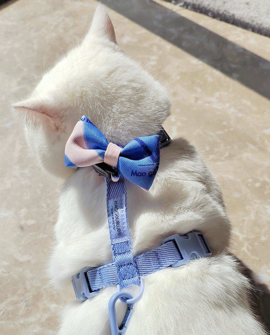 Pet Bow Tie