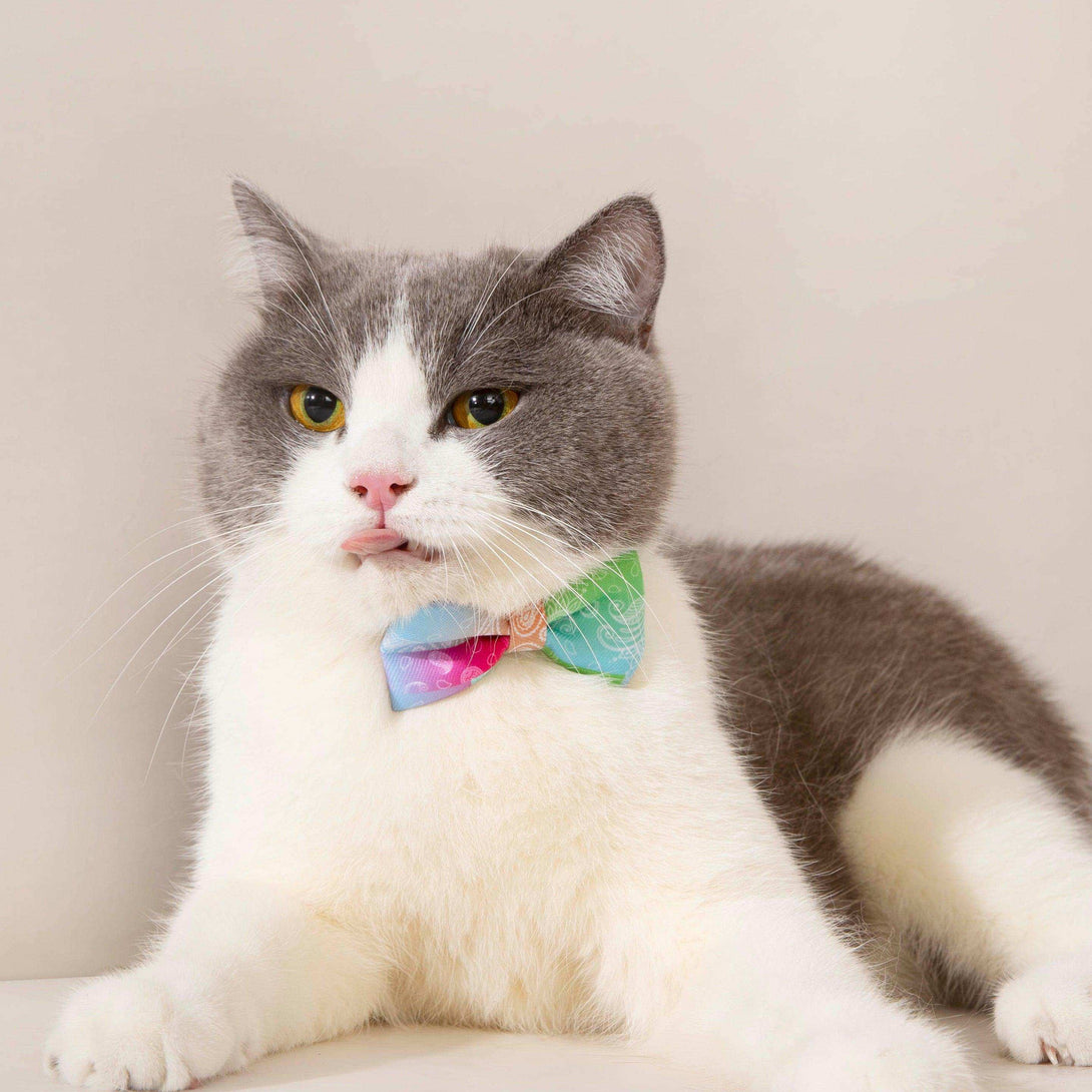 Pet Bow Tie